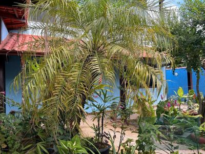 Casa, 3 quartos, 360 m² - Foto 4