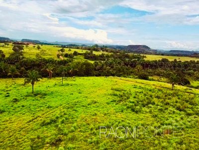 Fazenda, 8 quartos - Foto 5
