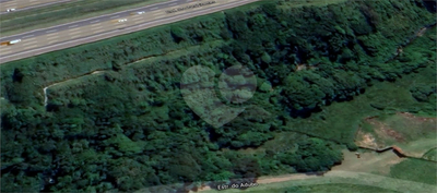 Terreno, 7 hectares - Foto 1