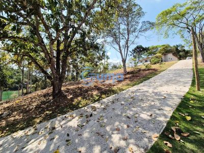 Chácara, 4 quartos, 8000 m² - Foto 3