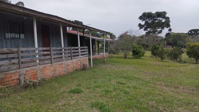 Fazenda, 6000 m² - Foto 2