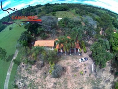 Chácara, 3 quartos, 3 hectares - Foto 3