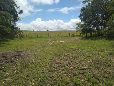 Sítio, 2 quartos, 7000 m² - Foto 4