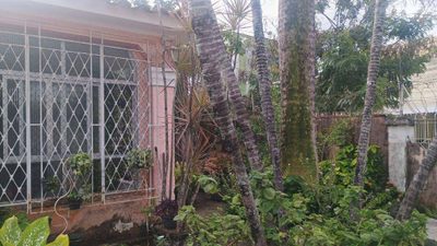 Casa, 4 quartos, 289 m² - Foto 3