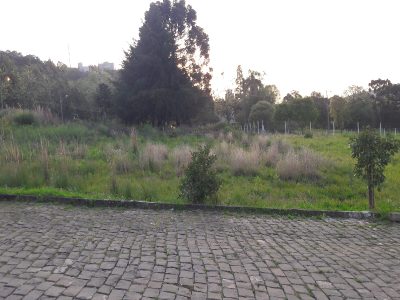 Terreno, 360 m² - Foto 4