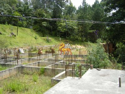 Terreno, 6 hectares - Foto 5