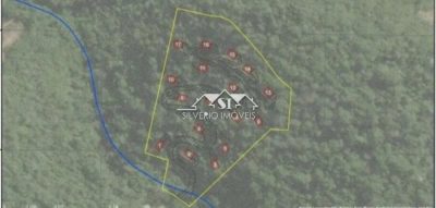 Terreno, 3 hectares - Foto 1