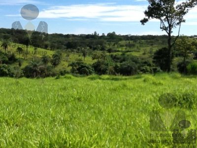 Terreno, 8 hectares - Foto 4