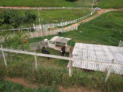 Sítio, 2 quartos, 136 m² - Foto 3