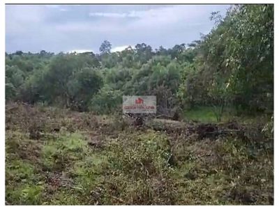 Fazenda, 726 m² - Foto 4