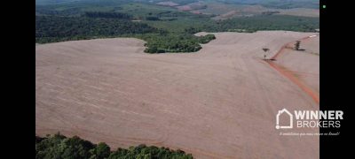 Fazenda, 286 hectares - Foto 1