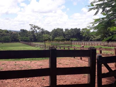 Fazenda, 6 quartos - Foto 1