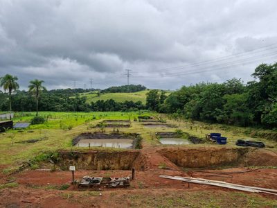 Sítio, 2 quartos, 7 hectares - Foto 4