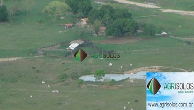 Terreno, 1 hectares - Foto 4