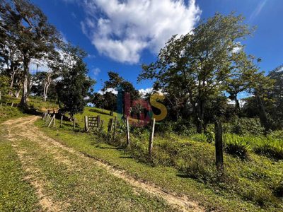 Fazenda - Foto 3