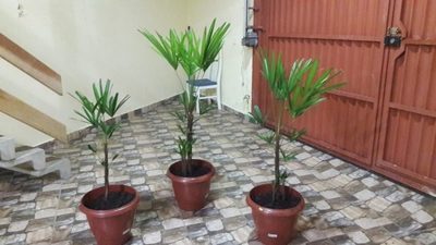 Sobrado, 2 quartos - Foto 4