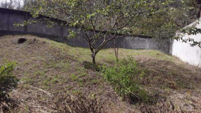 Terreno - Foto 3