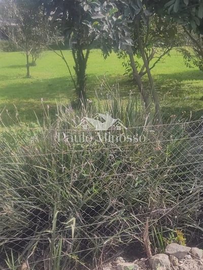 Terreno, 900 m² - Foto 4