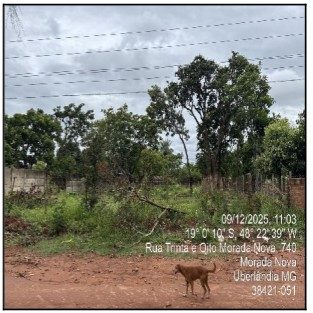 Terreno, 50 m² - Foto 1