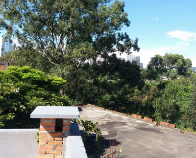 Terreno, 3500 m² - Foto 2