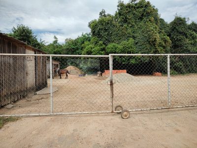 Terreno, 1 hectares - Foto 2