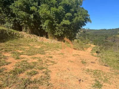Terreno, 2 hectares - Foto 3