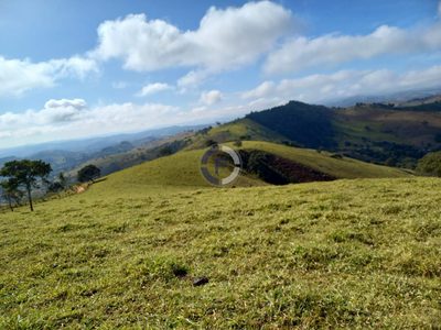 Fazenda, 4 quartos - Foto 4