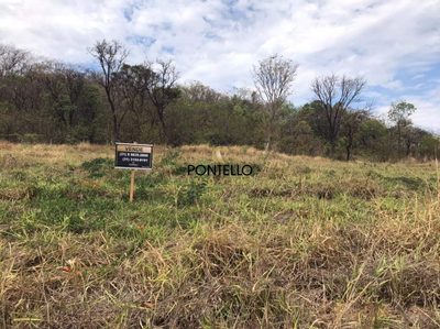 Terreno, 1000 m² - Foto 4