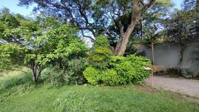 Terreno, 1500 m² - Foto 4