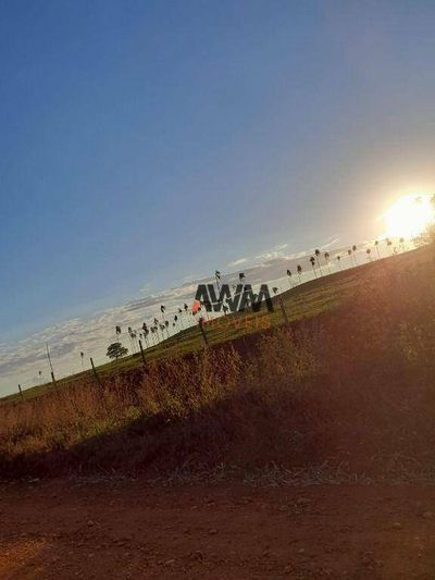 Fazenda, 1210 hectares - Foto 3