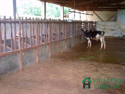 Fazenda, 24 hectares - Foto 3