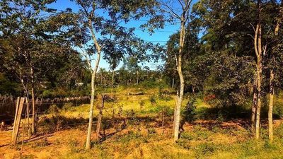 Terreno, 6066 m² - Foto 3