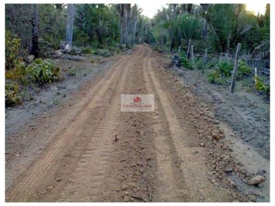 Fazenda, 5 hectares - Foto 3