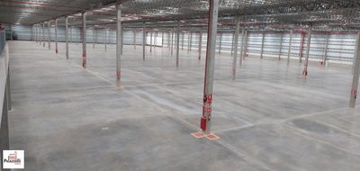 Depósito-Galpão, 10060 m² - Foto 2