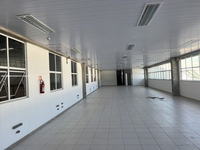 Depósito-Galpão, 5000 m² - Foto 2