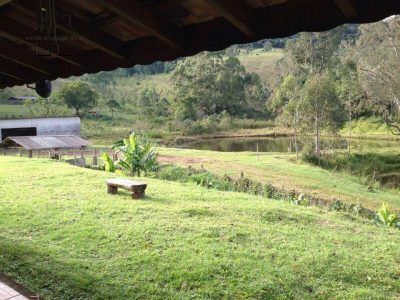 Fazenda, 61 hectares - Foto 4