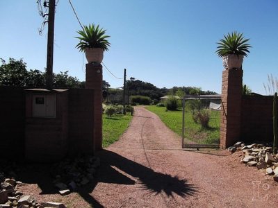 Sítio, 2 quartos, 29999 m² - Foto 4