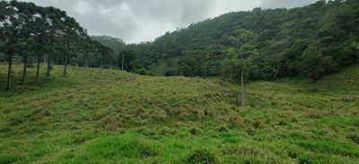 Sítio, 1 quarto, 10000 m² - Foto 5
