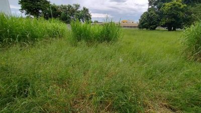 Terreno, 4600 m² - Foto 2