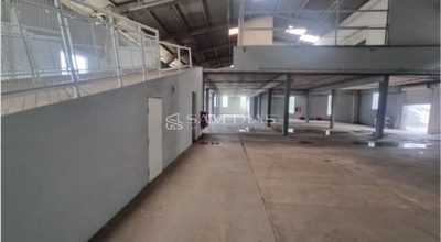 Depósito-Galpão, 6000 m² - Foto 5