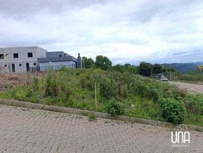 Terreno, 259 m² - Foto 1