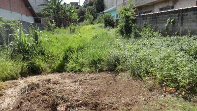 Terreno, 516 m² - Foto 4