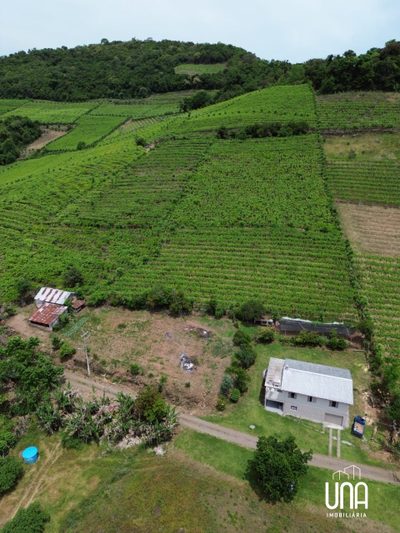 Sítio, 9 hectares - Foto 1