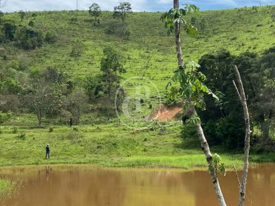 Sítio, 3 quartos, 13 hectares - Foto 4