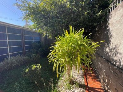 Casa, 3 quartos, 269 m² - Foto 4