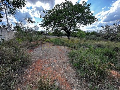 Terreno, 1000 m² - Foto 5