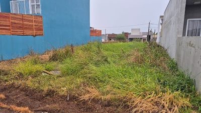 Terreno - Foto 3