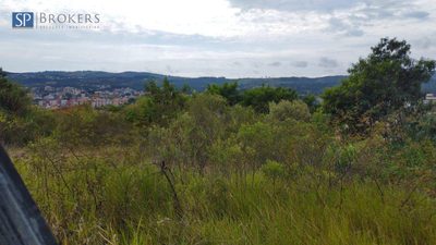 Terreno, 2403 m² - Foto 3