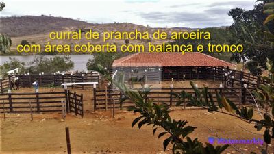 Fazenda, 144 hectares - Foto 2