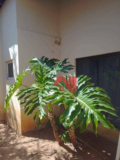 Casa, 3 quartos, 178 m² - Foto 5